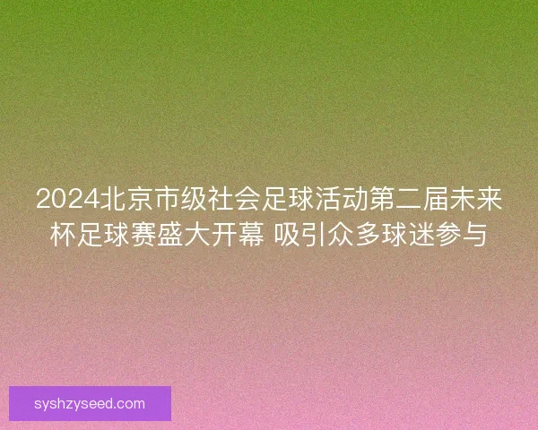 2024北京市级社会足球活动第二届未来杯足球赛盛大开幕 吸引众多球迷参与