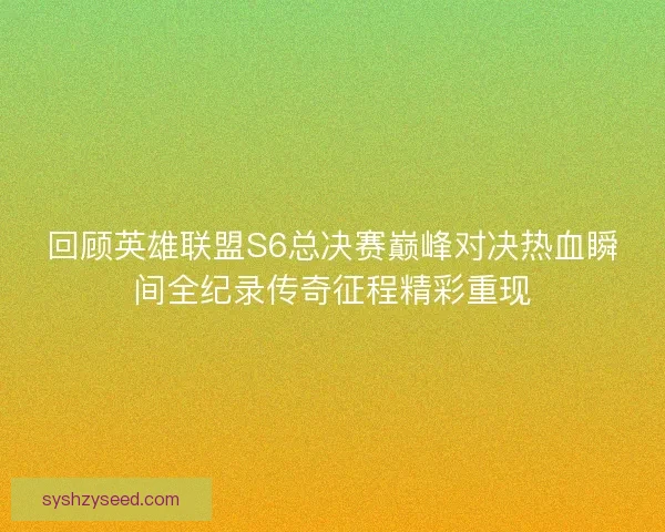 回顾英雄联盟S6总决赛巅峰对决热血瞬间全纪录传奇征程精彩重现