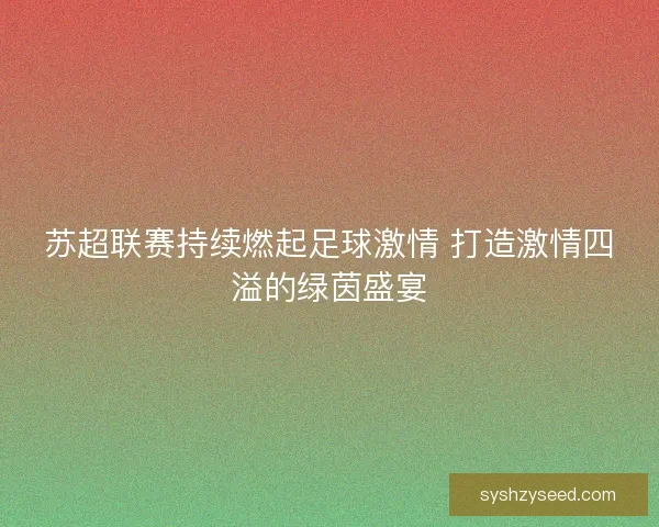 苏超联赛持续燃起足球激情 打造激情四溢的绿茵盛宴